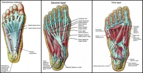 Fit and Healthy Feet for Better Tennis