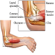 Tennis and Sports Medicine Concerns
