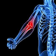 Tips to Avoid Tennis Elbow